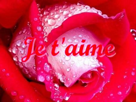 AMOUR